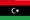 Libyci